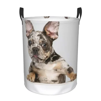 Tas penyimpanan tahan air anjing Perancis Bulldog anak anjing keranjang cucian rumah tangga kotor pengatur pakaian ember lipat