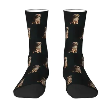 Сладък мъжки чорапи за кучета Гранична Териер, Унисекс, Стръмни чорапи за кученца с 3D печат за домашни любимци